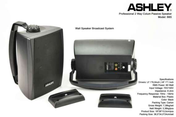 Speaker Pasif 2way colum Ashley B65 / B 65 6,5inch ORIGINAL