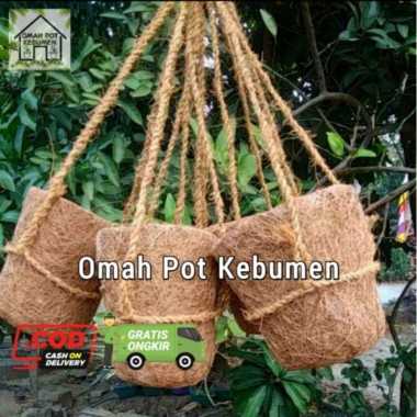 (omah pot) POT GANTUNG SABUT KELAPA ANGGREK GANTUNG
