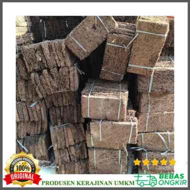 Papan Pakis Akar Pakis Media Tanam Ready Stok