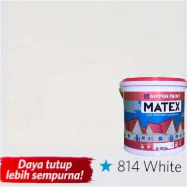 Cat Genteng Matex Nippon Paint 2.5 liter White 814