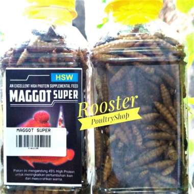 MAGGOT SUPER HSW Pakan ikan Besar Pakan ikan Arwana Louhan Pelet