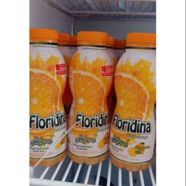 FLORIDINA