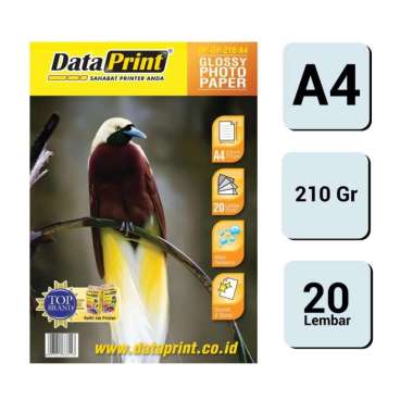 DATAPRINT PAPER PHOTO GLOSSY A4 210GR / DATAPRINT / PHOTO GLOSSY/PAPER