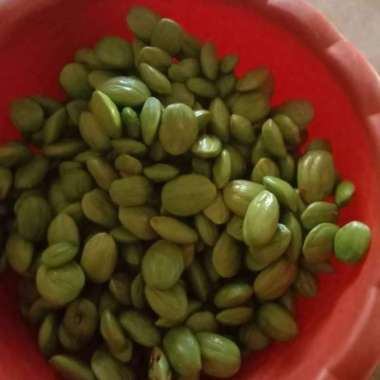 petai pete kupas segar 250 gram super Grade A