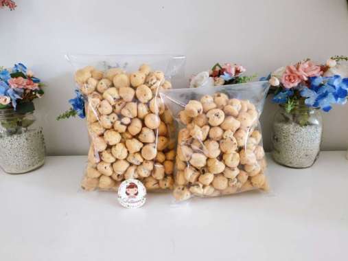 500gr mysoes kue sus kering isi coklat soes kering