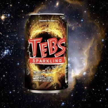 TEBS SPARKLING SODA KALENG 330 mL [ 1 dus @ 24 pcs ]