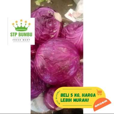 Kol Ungu Segar 1kg / Kubis Ungu Fresh