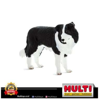 MOJO BORDER COLLIE 87203