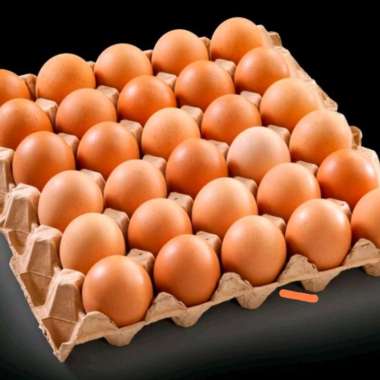 telor ayam negri 1kg telornya