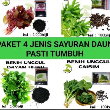 paket 4 macam benih sayuran