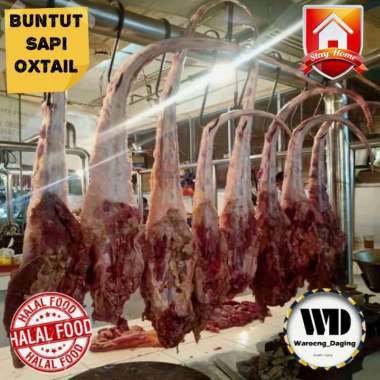 buntut sapi lokal bx