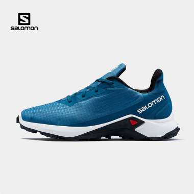 salomon goretex running shoes