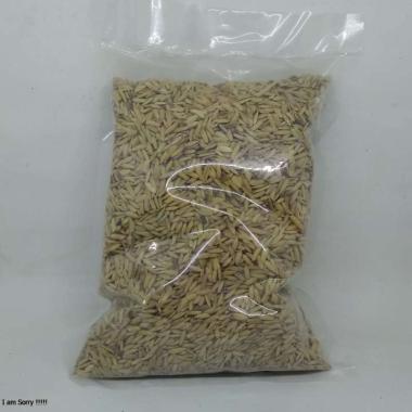 GABAH MERAH 500 GRAM PAKAN BURUNG LOVEBIRD PERKUTUT TEKUKUR KENARI