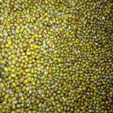 kacang hijau 1kg
