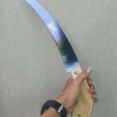 gergaji bonsai lengkung kopi