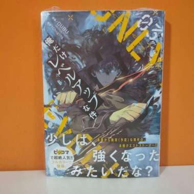 Kadokawa Dengeki Comics Manga Leadale no Daichi nite 3 - Ceez