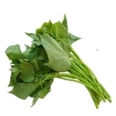 Daun Ubi per Ikat