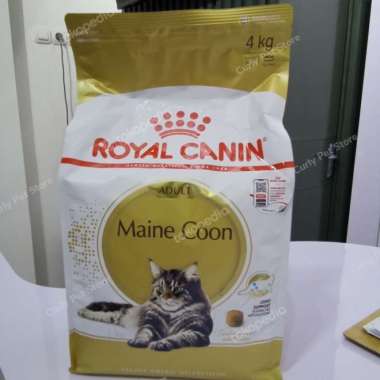 Royal Canin Maine Coon Adult 4Kg