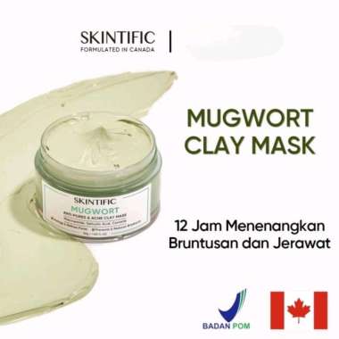 SKINTIFIC Mugwort Clay Mask Anti Pores & Acne
