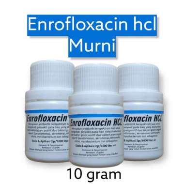 enrofloxacin murni 10 gram