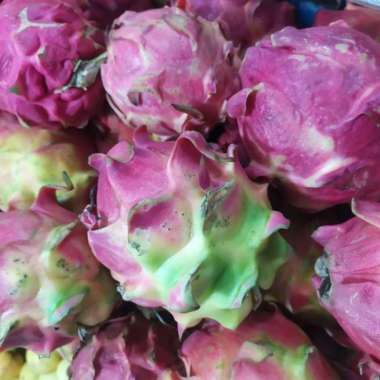 BUAH NAGA SEGAR / BUAH NAGA FRESH / BUAH SEGAR / BUAH FRESH 1.0kg