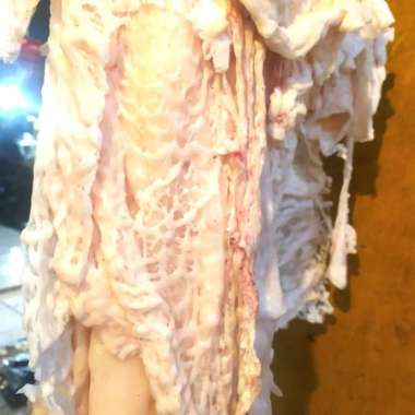 LEMAK KAMBING / GAJIH KAMBING 1.0kg