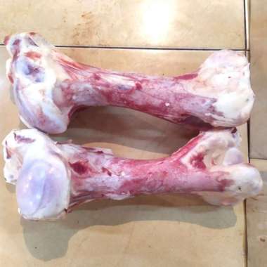 TULANG BALUNG SAPI / ISI SUMSUM BUAT KALDU SATUAN 100% HALAL