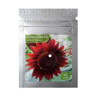 Jual Bibit Sunflower Online Baru Harga Termurah Juni 2020 Blibli Com