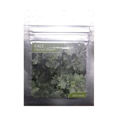 Jual Sayur Hidroponik Murah Harga Promo Blibli Com