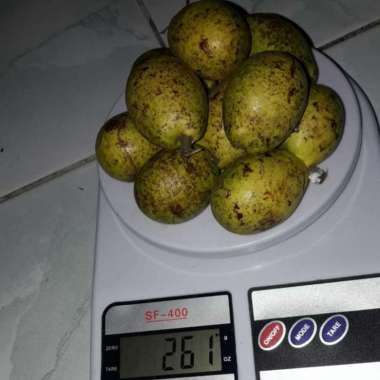 Buah Matoa