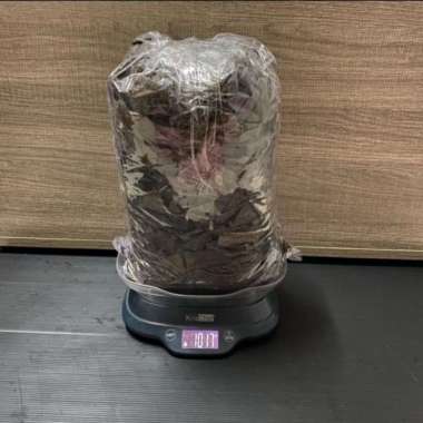 Daun Ketapang ikan Cupang 1KG (Siap Pakai) U