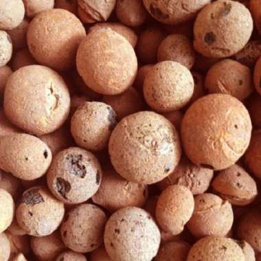 Jual Hidroton Terbaru Harga Murah Blibli Com