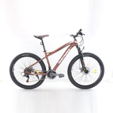 Jual Pacific Cameron 6 0 Sepeda Mtb 29 Inch Online Agustus 2020