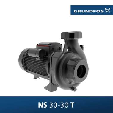 Single Stage Centrifugal Grundfos NS 30-30 T