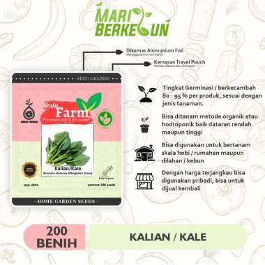 Benih Biji Bibit 200 Sayur Kailan / Kale Dwarf Blue Scotch Curled Curly Kualitas Unggul Super INDO F