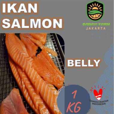 Ikan Belly Salmon 1 Kg