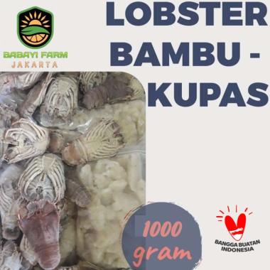 Lobster Air Laut Bambu Hijau 500 gr 1 kg Cangkang Utuh / Kupas 1 Kg-Kupas