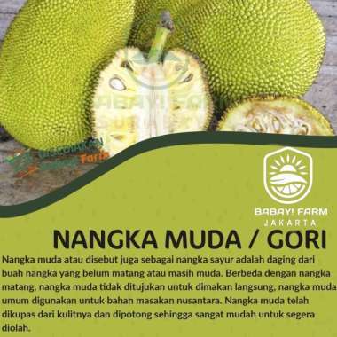 nangka muda sayur / gori / tewel 500 gram