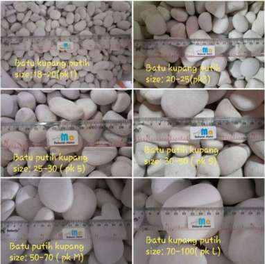 Batu Alam Putih Koral Putih Kupang batu taman hiasan tanaman pot PK3 size S