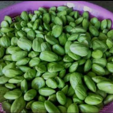 Petai Kupas Segar 100Gram