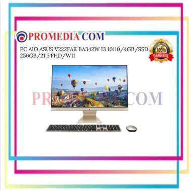 PC AIO ASUS V222FAK BA342W I3 10110/4GB/SSD 256GB/21,5'FHD/W11