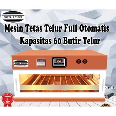 Mesin penetas telur Full otomatis telur ayam burung bebek Mesin tetas random