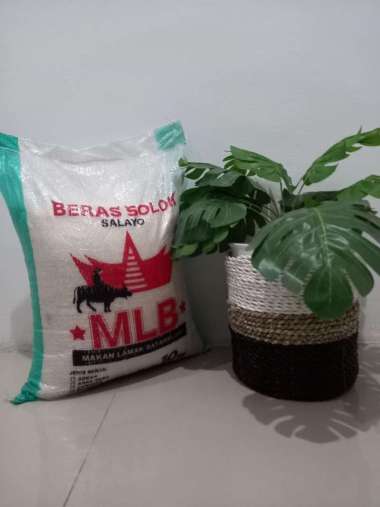 Beras Padang Solok Sokan 10 Kg