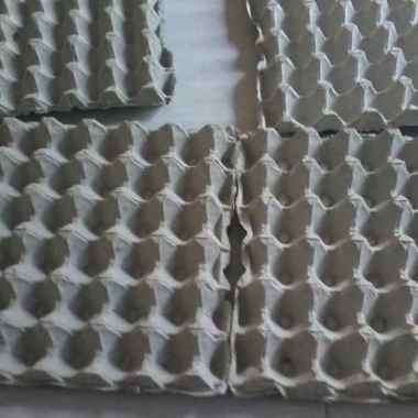 Tray Telur - Tempat Telur - [ Bisa Untuk Pengerdap Suara ] - 1 Pcs Tray Telur Tray Telur