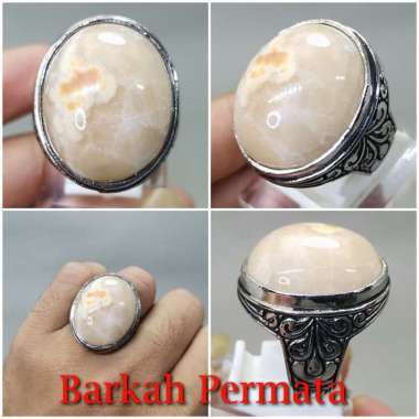 Batu Akik Mani Gajah Jumbo Asli n 2297 Putih