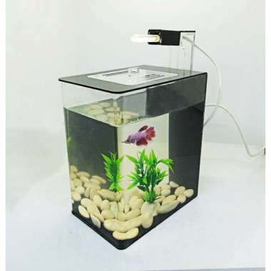 Aquarium Mini Harga Agustus 2021 Blibli