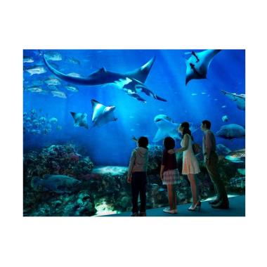 Murah 1 Sea Aquarium Singapore Jual Produk Terbaru November 2019