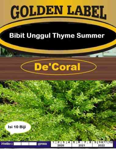 Bibit Unggul Thyme Summer | Benih Thyme Summer