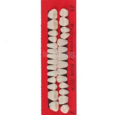 Gigi Palsu Resin untuk Gigi Ompong Gigi Sementara 1 Set 28 Pcs