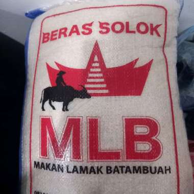 Beras Asli Solok Anak Daro 10 Kg